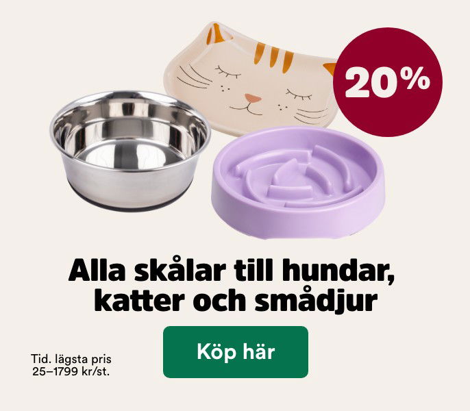 20% p&aring; alla sk&aring;lar t o m 29/3. K&ouml;p h&auml;r