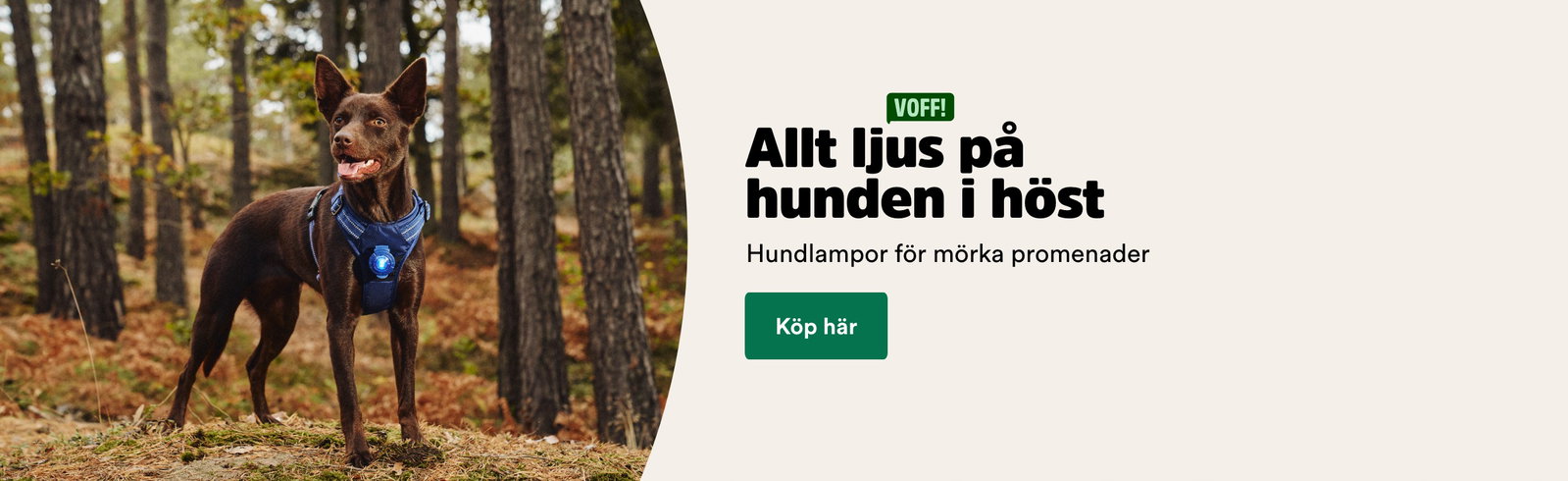 Allt ljus p&aring; hunden i h&ouml;st med hundlampor f&ouml;r m&ouml;rka promenader - visa produkter