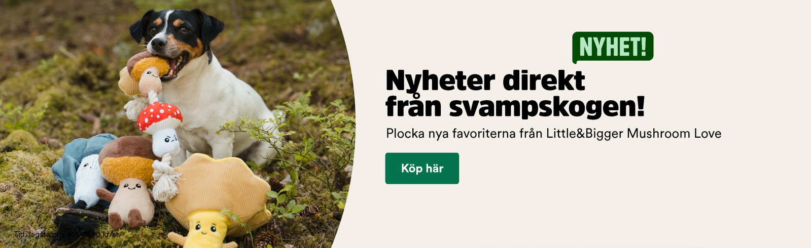 Nyheter direkt fr&aring;n svampskogen, leksaker och tillbeh&ouml;r till hund och katt fr&aring;n Little&Bigger Mushroom Love!