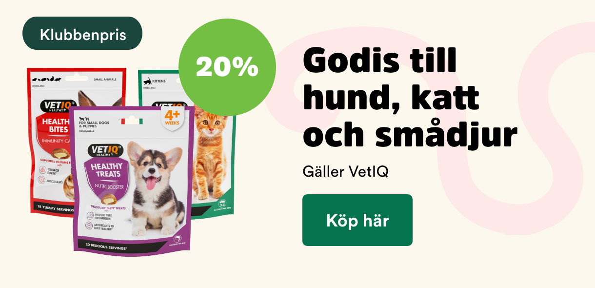 Arken Zoo Startsida Augusti 2025 Klubben: 20% på VetIQ godis till hund, katt & smådjur