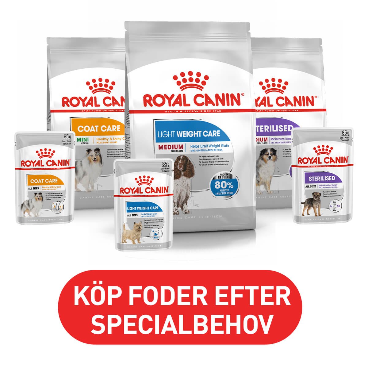 Arken Zoo Royal Canin Care Hund
