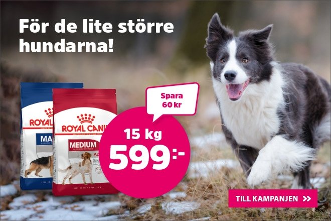 djuraffär online fri frakt djuraffär online fri frakt