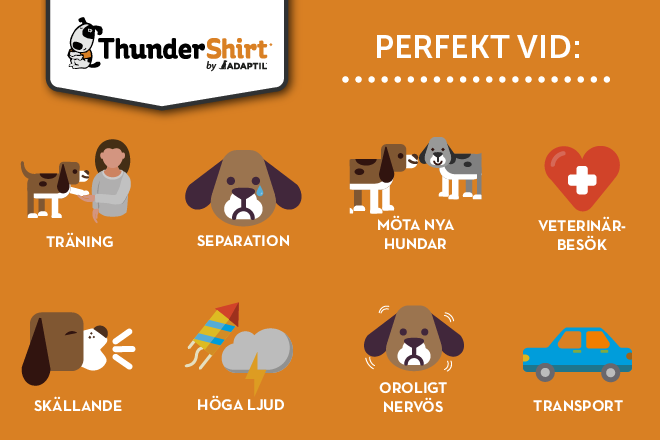 arken zoo thundershirt