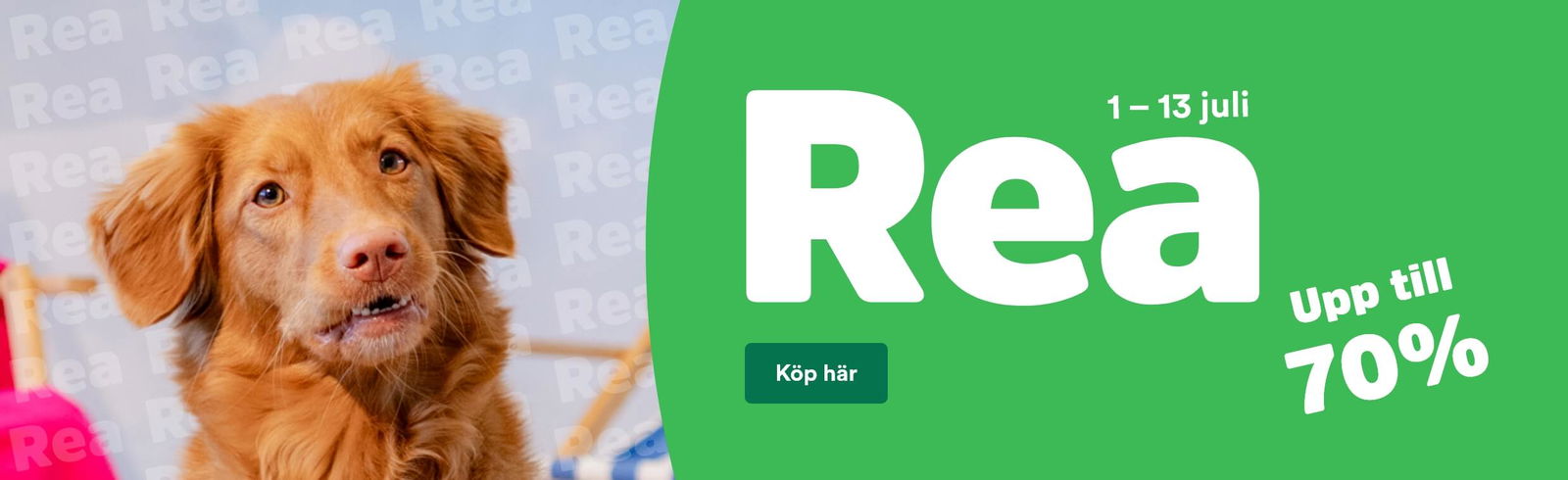 Arken Zoo Start Sommarrea 2025