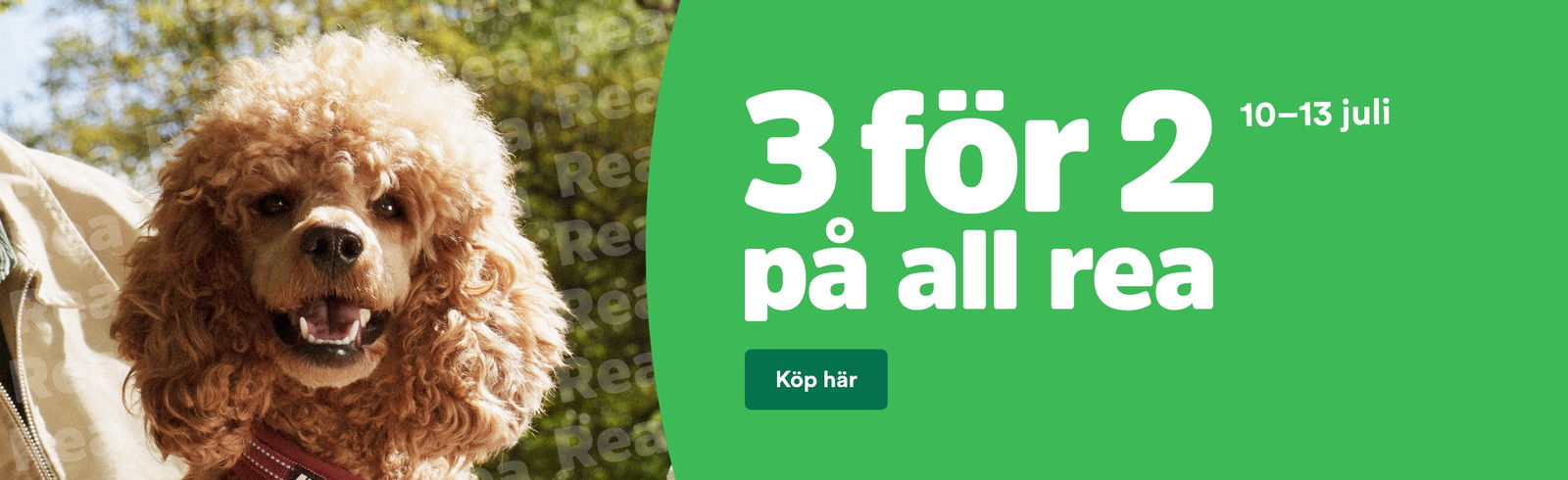 Arken Zoo Start 3 för 2 på Sommarrea 2025