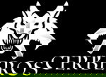 Cerberos