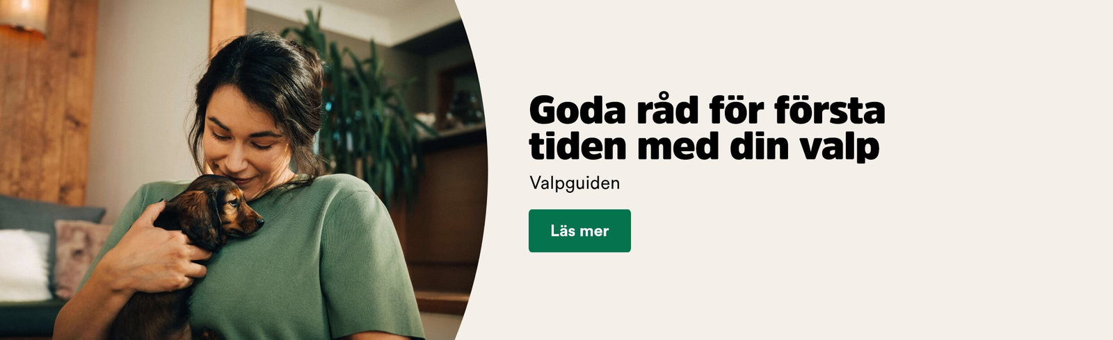 Goda r&aring;d f&ouml;r f&ouml;rsta tiden med din valp