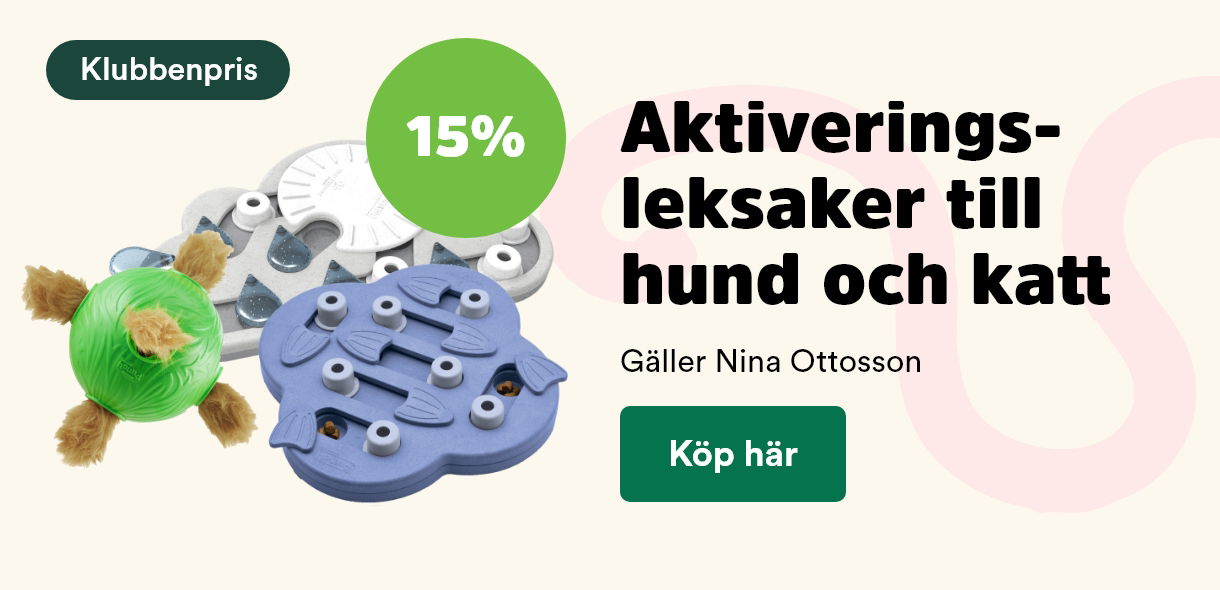 Arken Zoo Start Mån kundkl 5/25 Aktiveringsleksaker