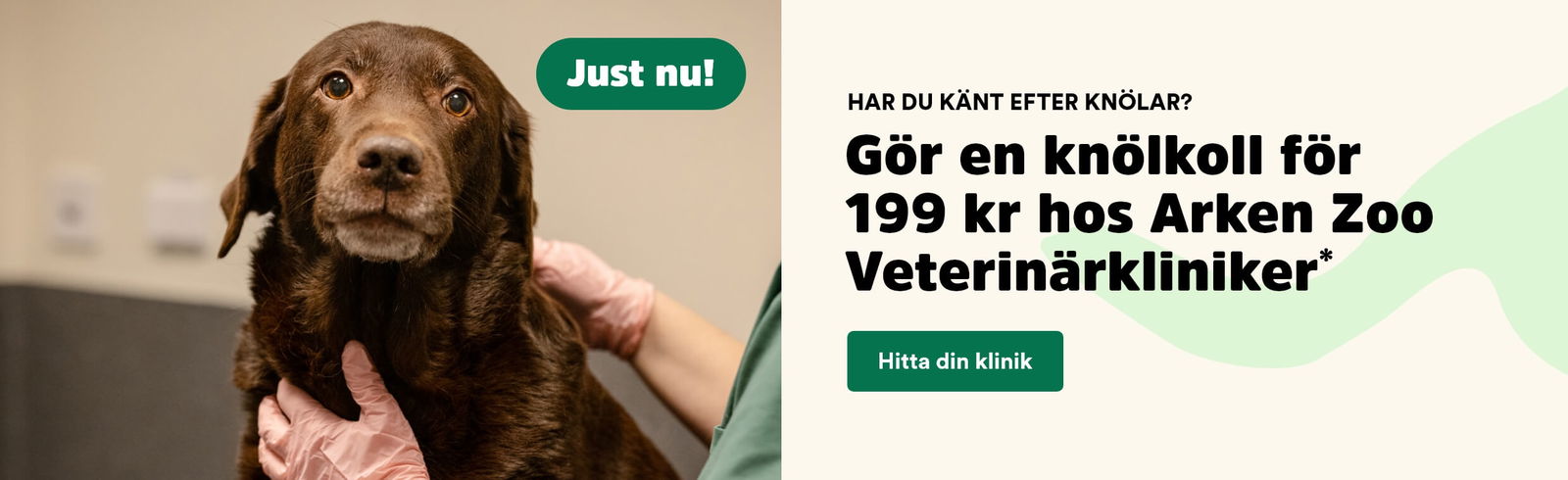 Arken Zoo Veterinär Knölar