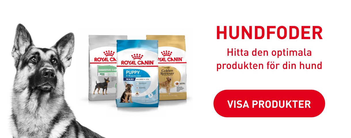 Arken Zoo Royal Canin Hund