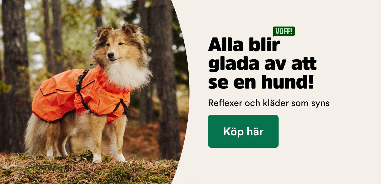 Alla blir glada av att se en hund, reflexer och kl&auml;der som syns - visa produkter