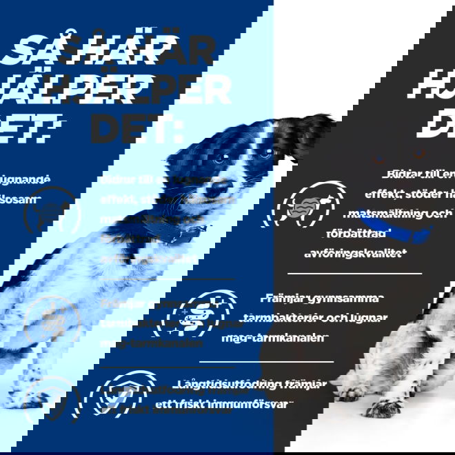 Hills Prescription Diet Canine i/d Digestive Care Stress Mini Chicken