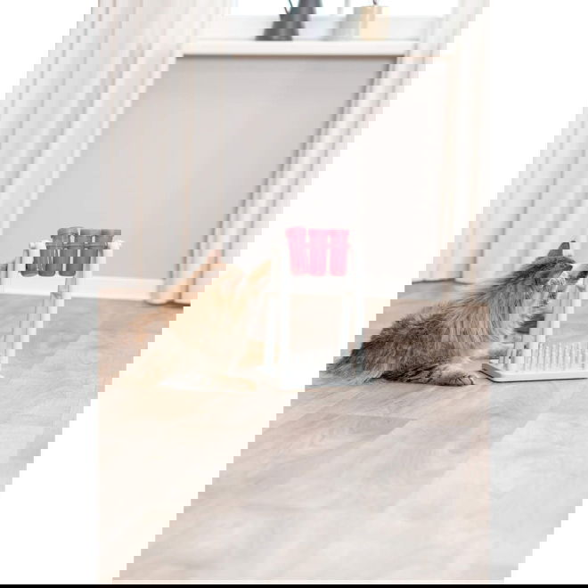 Trixie Katt Aktivitetsspel Turn Around