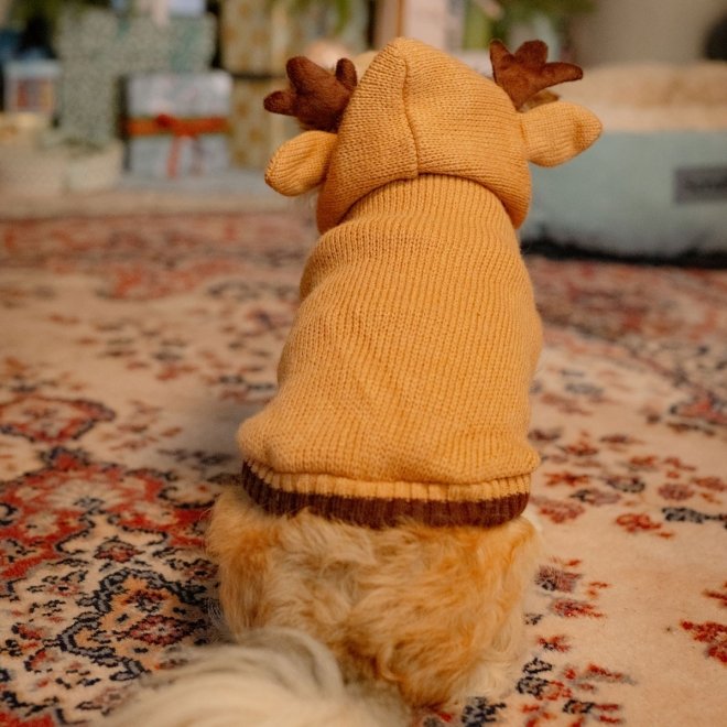 Little&Bigger Reindeer Stickad Hundtröja med Luva Brun
