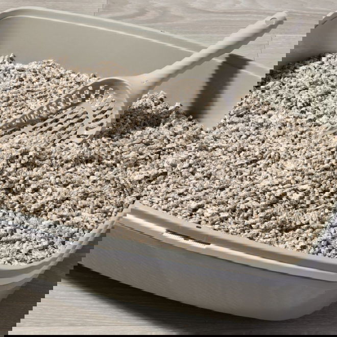 Smily Eco Papperspellets 20 liter