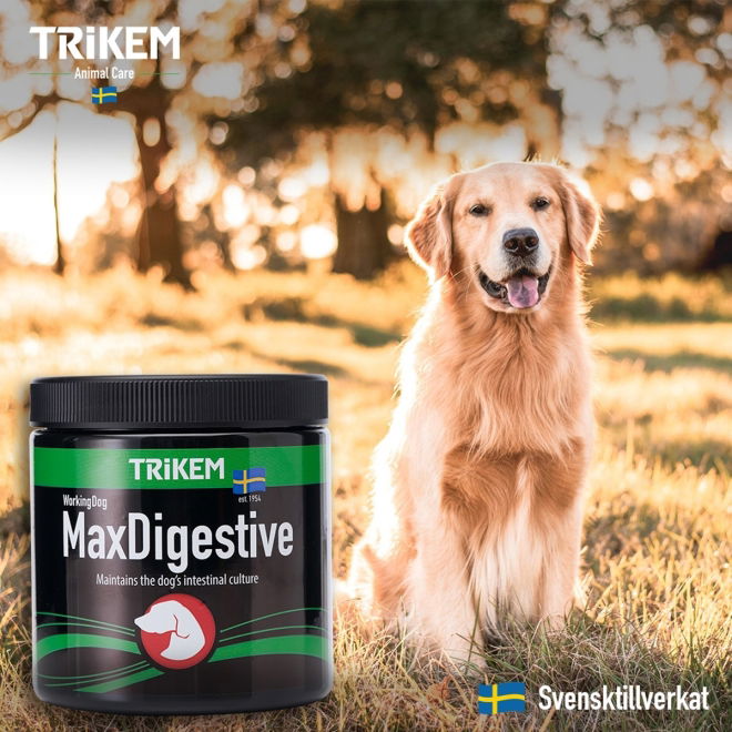 Trikem Working Dog Max Digestive 600 g