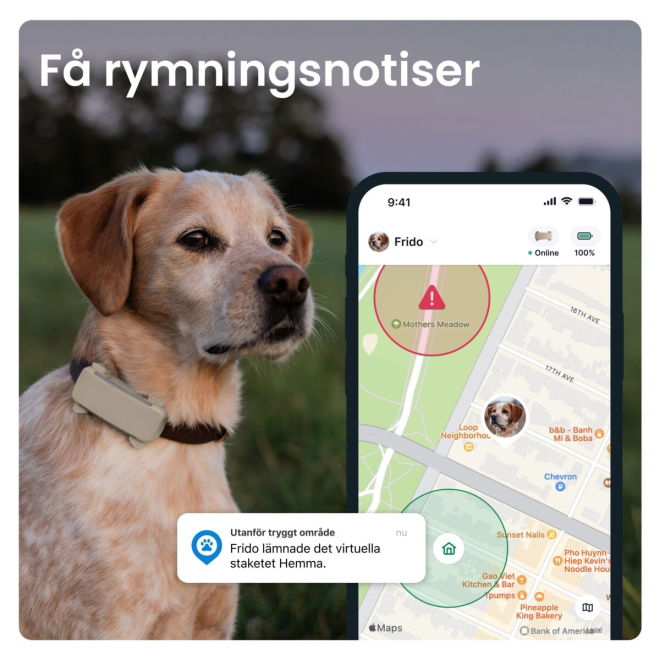 Tractive GPS & Health Tracker för Hund Brun