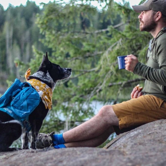 Kurgo RSG Pack Pannier Klövjeväska Blå