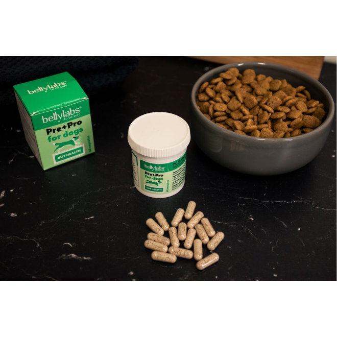 Bellylabs Pre+Pro Gut Health f&ouml;r Hund 60 kapslar