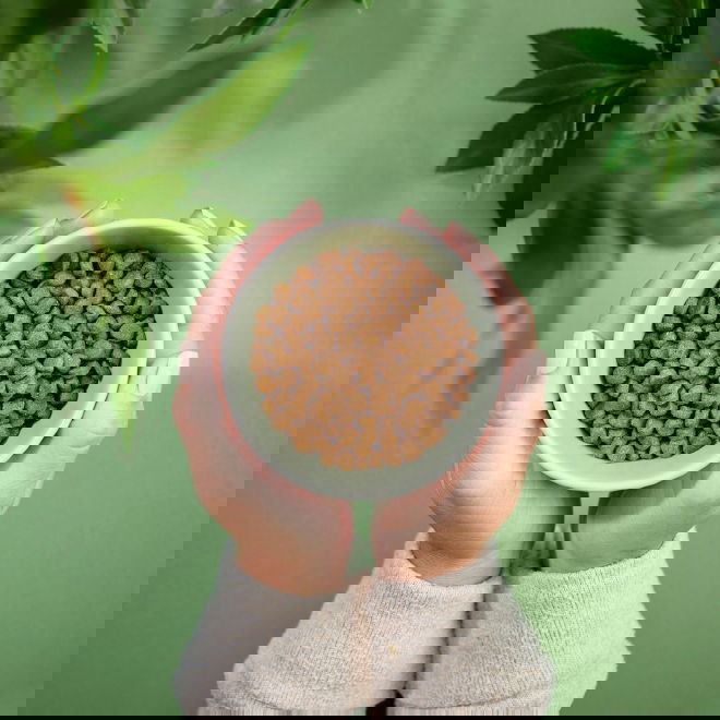 Purenatural Kitten Grain Free Turkey & Chicken (10 kg)