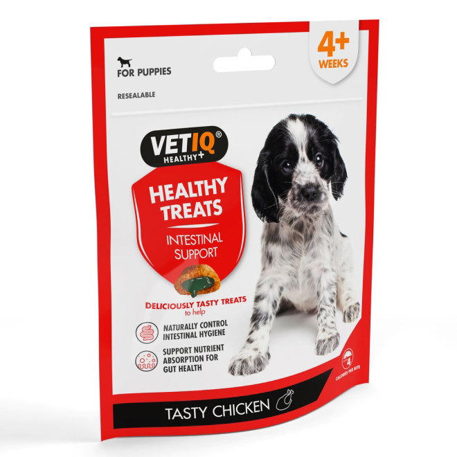 VetIQ Puppy Intestinal Support treats 50 g