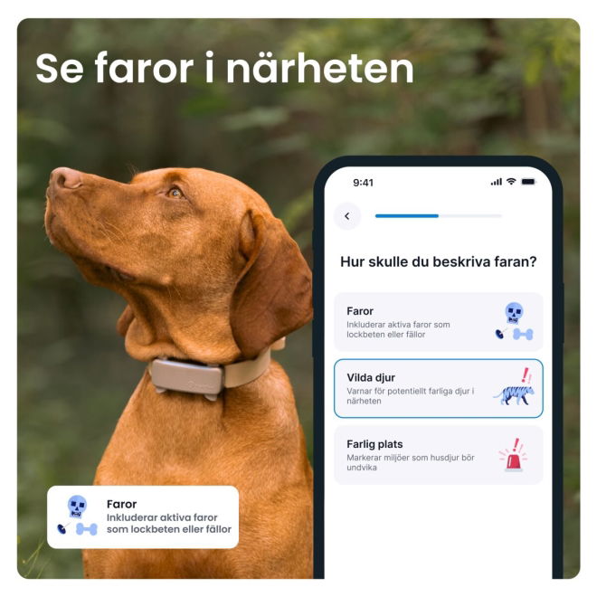 Tractive GPS & Health Tracker för Hund Brun