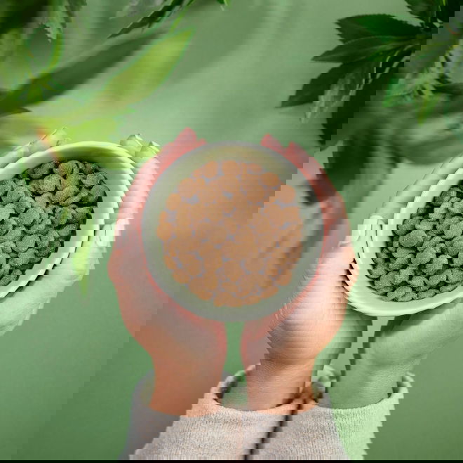 Purenatural Cat Adult Sensitive Pork (2  kg)