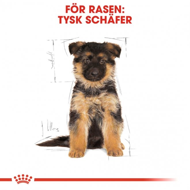 Royal Canin Dog Breed German Shepherd Puppy