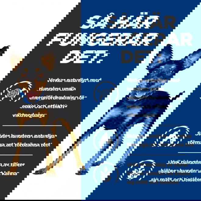 Hills Prescription Diet Canine Metabolic Chicken & Vegetables 156 g