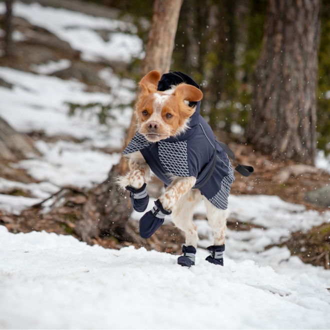 Feel Active Snow Hundstrumpor Blå 2-pack