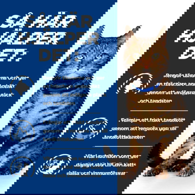 Hills Prescription Diet Feline t/d Dental Care Chicken