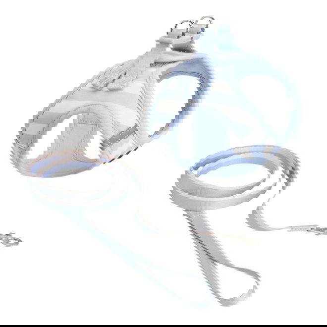 Basic Kattsele med Koppel Randig Bl&aring;/Beige (S)