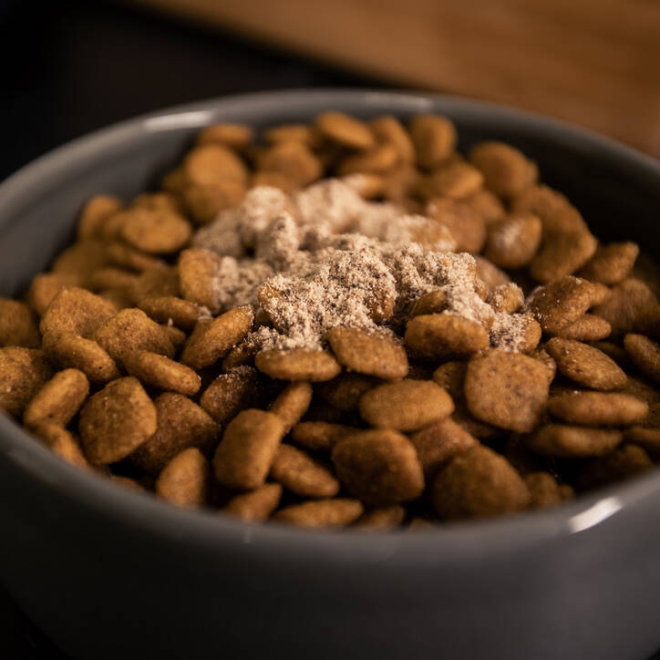 Bellylabs Pre+Pro Gut Health f&ouml;r Hund 60 kapslar