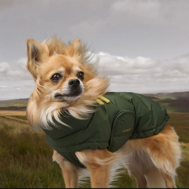 Cloud7 Alaska Vintertäcke till Hund Olivgrön