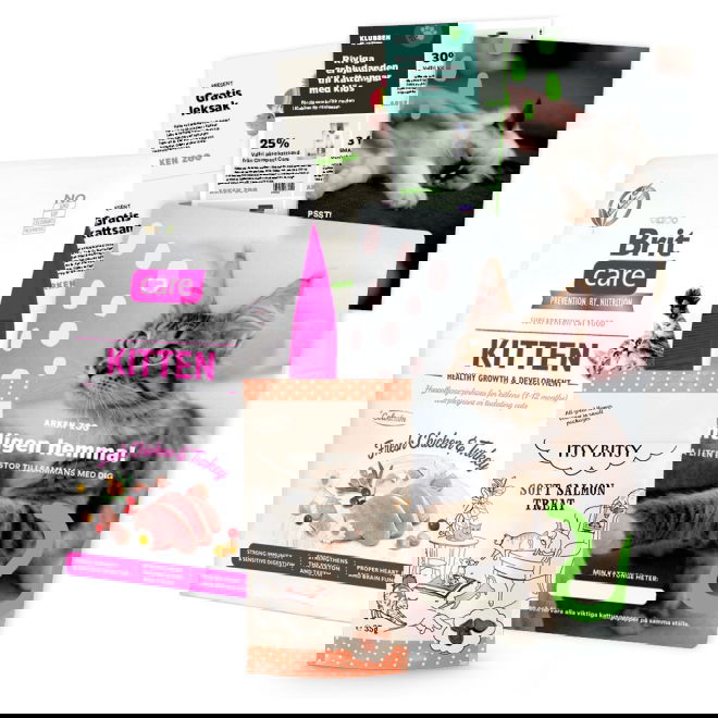 Kattungepaket Brit Care Cat Grain Free Kitten