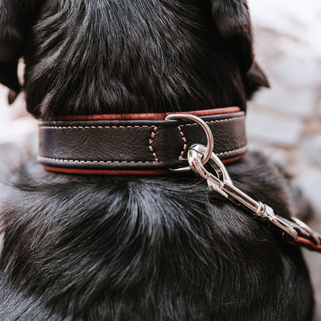 Hunter Canadian UP Hundhalsband L&auml;der Svart