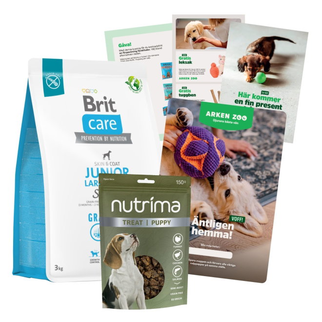 Valppaket Brit Care Dog Junior Large Breed Grain Free Salmon