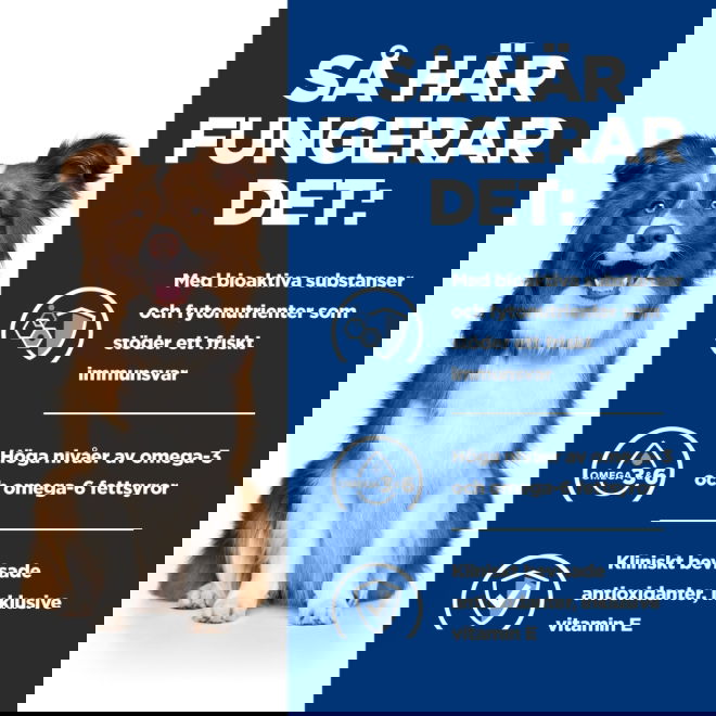 Hills Prescription Diet Canine Derm Defense Environmental Sensitivites Chicken