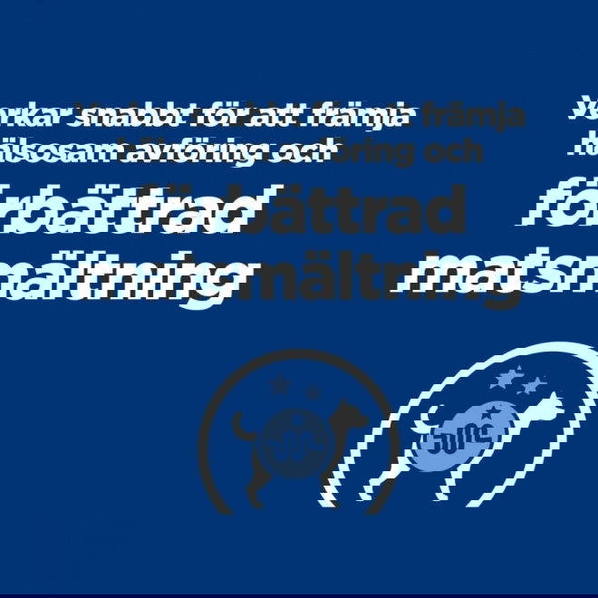 Hills Prescription Diet Canine i/d Digestive Care Turkey (200 g)