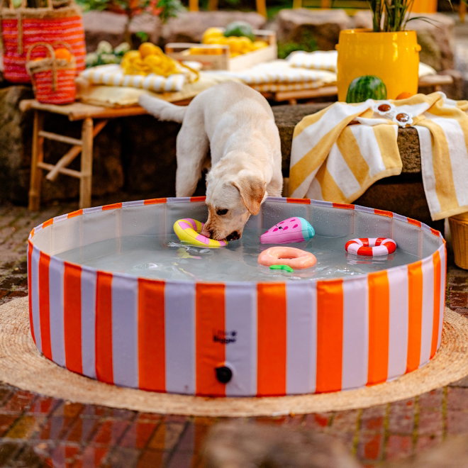Little&Bigger Hot Summer Juicy Hundpool Lila/Orange 120 cm