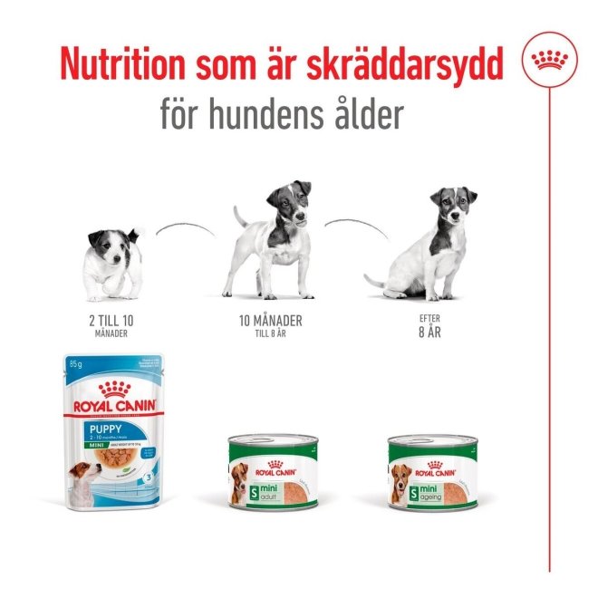 Royal Canin Mini Ageing 8+ Loaf 195 g