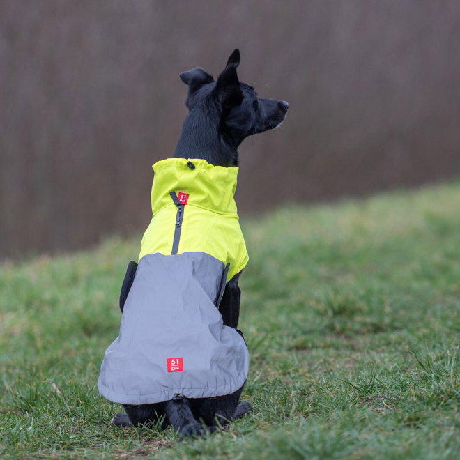 51 Degrees North Hundjacka med Reflex Gul
