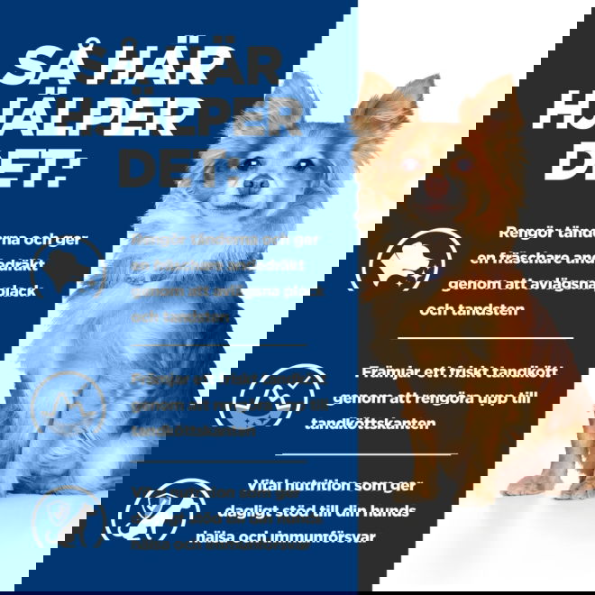 Hills Prescription Diet Canine t/d Dental Care Mini Chicken 3 kg