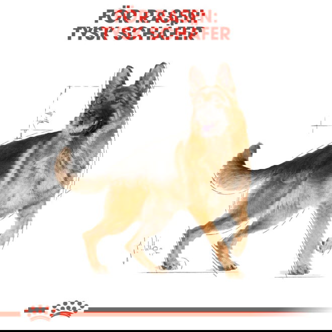 Royal Canin Breed German Shepherd Adult