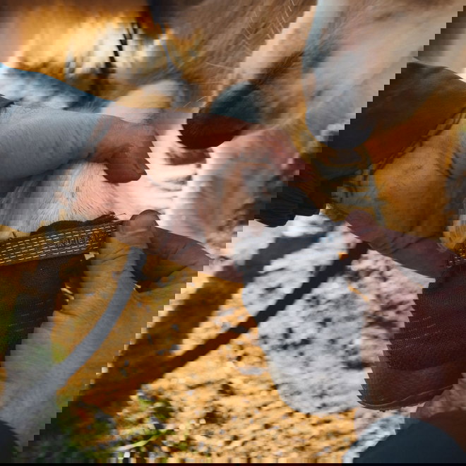 Ruffwear Ridgeline Hundskor Svart 2-pack