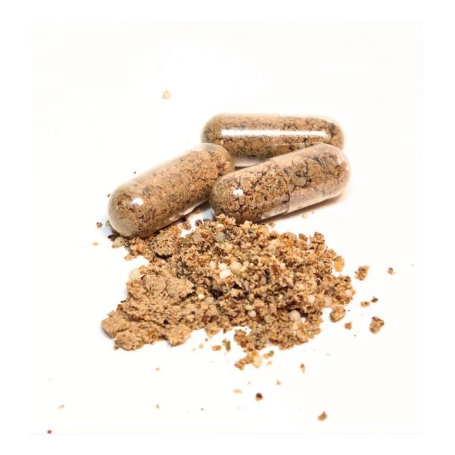 Bellylabs Pre+Pro Gut Health f&ouml;r Hund 60 kapslar