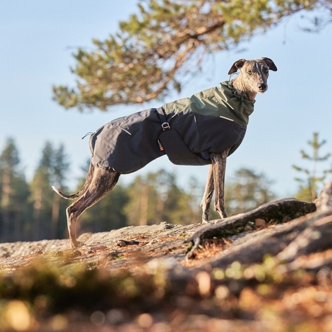 Non-Stop Dogwear Glacier 2.0 Vintertäcke i Ull Grön/Svart