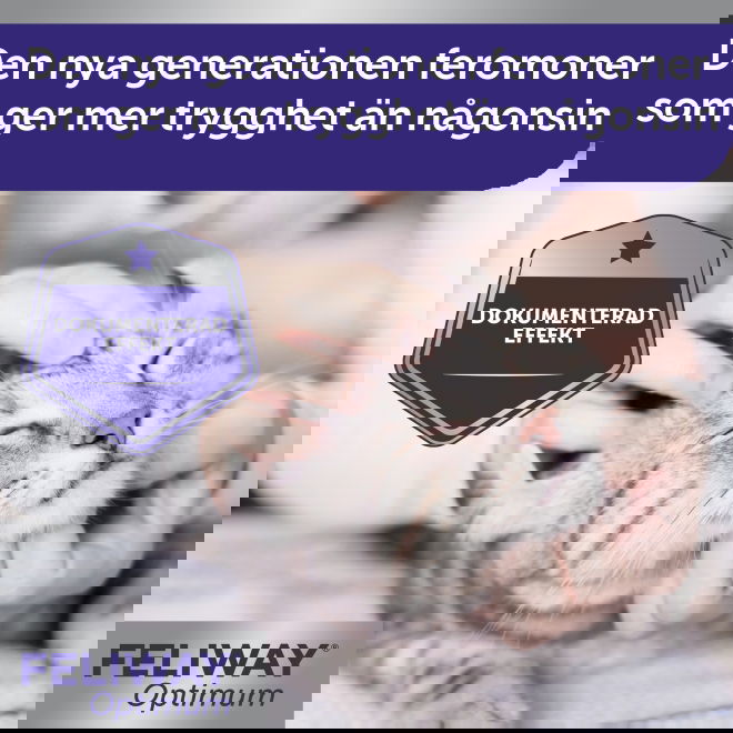 Feliway Optimum Doftavgivare