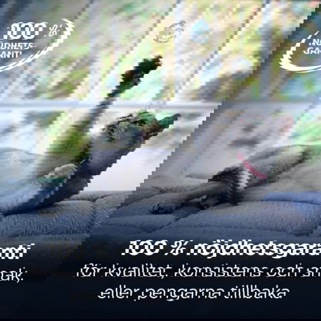 Hills Prescription Diet Feline Gastrointestinal Biome Digestive Care/Fibre Care Stew Chicken & Vegetables 82 g