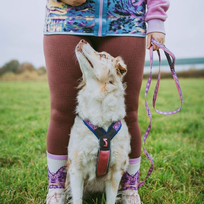 Non-stop Dogwear Trail Quest Rachel Pohl Hundkoppel 15 mm x 2 m Rosa/Lila